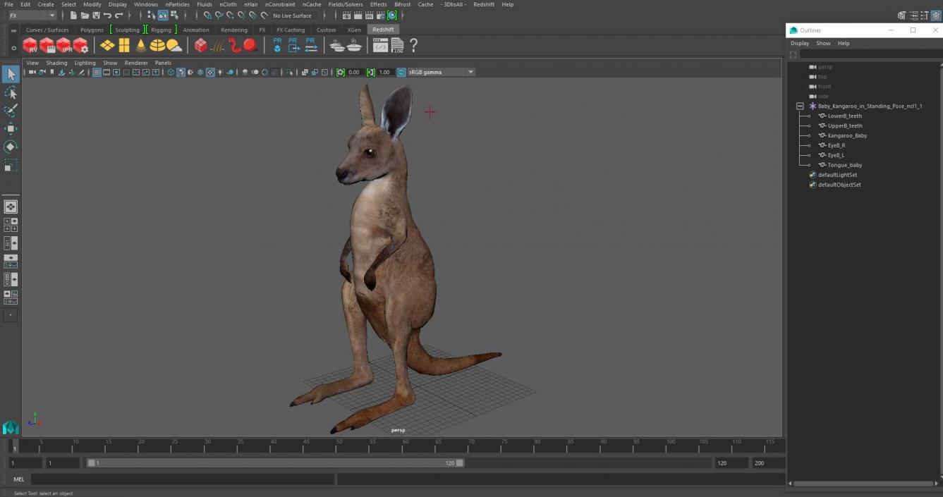 3D model Baby Kangaroo in Standing Pose