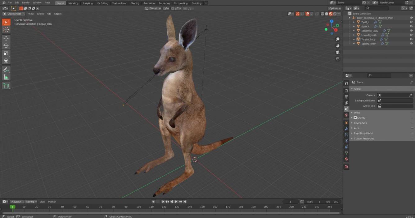 3D model Baby Kangaroo in Standing Pose