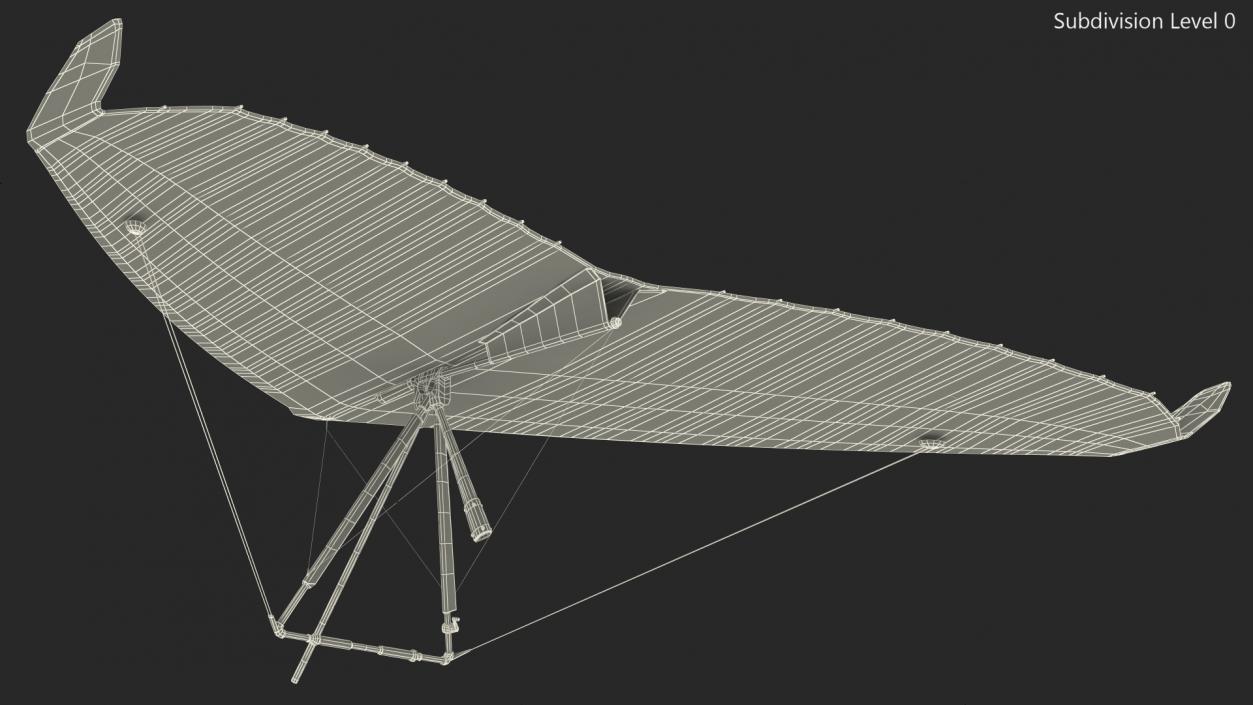 3D Hang Glider 2 model