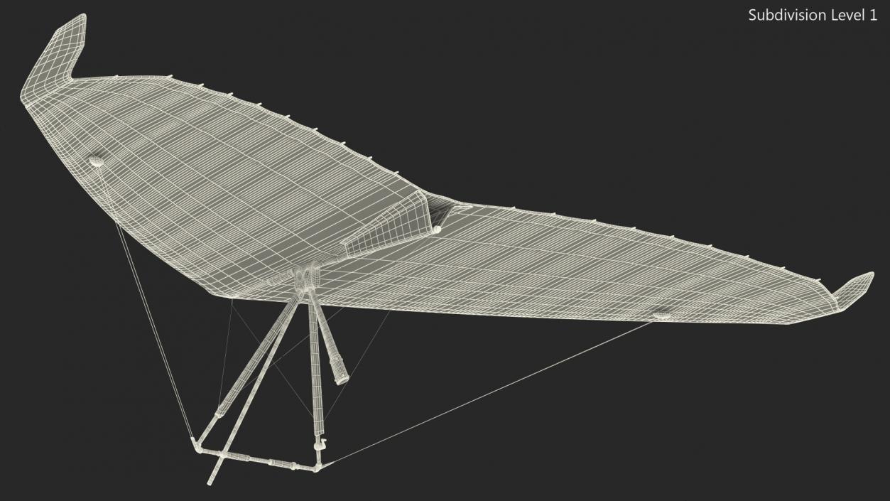 3D Hang Glider 2 model