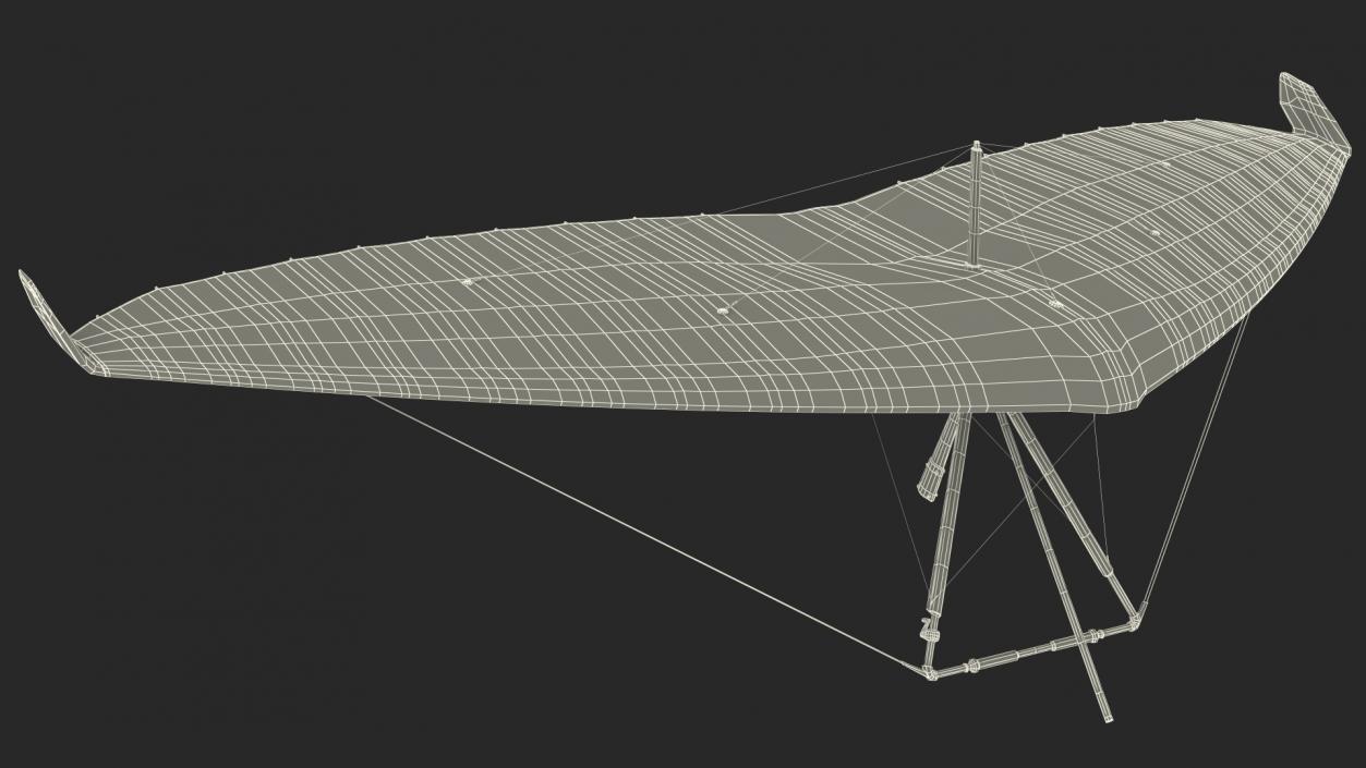 3D Hang Glider 2 model