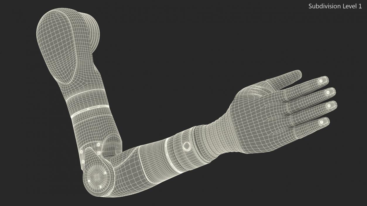 3D model Deka Bionic Arm