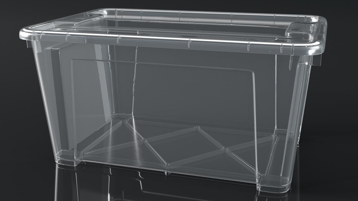 3D Transparent Plastic Container with Lid model