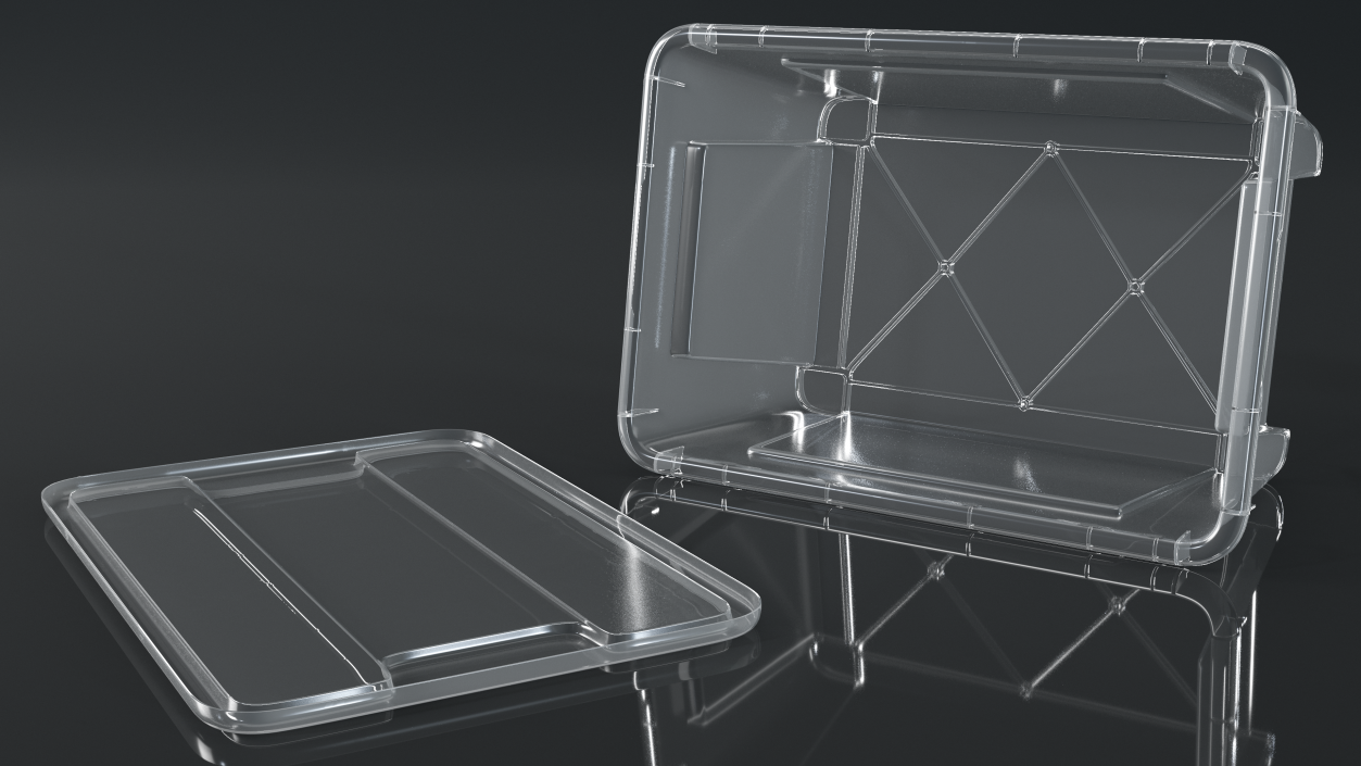 3D Transparent Plastic Container with Lid model