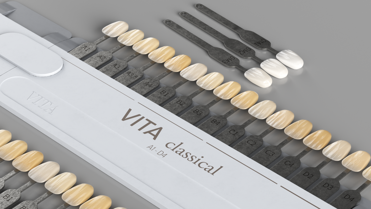 3D VITA Classical Dental Shade Guide model