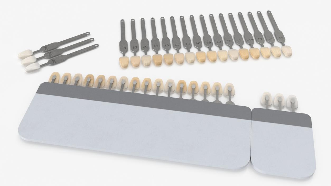 3D VITA Classical Dental Shade Guide model