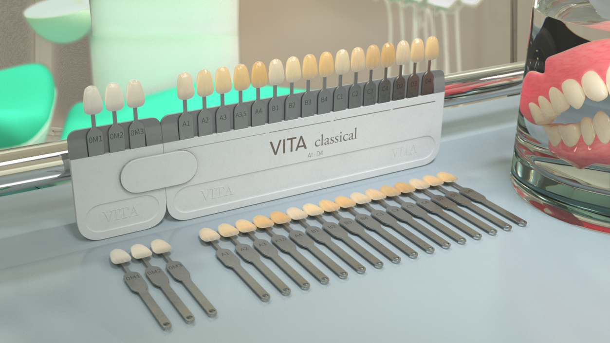 3D VITA Classical Dental Shade Guide model