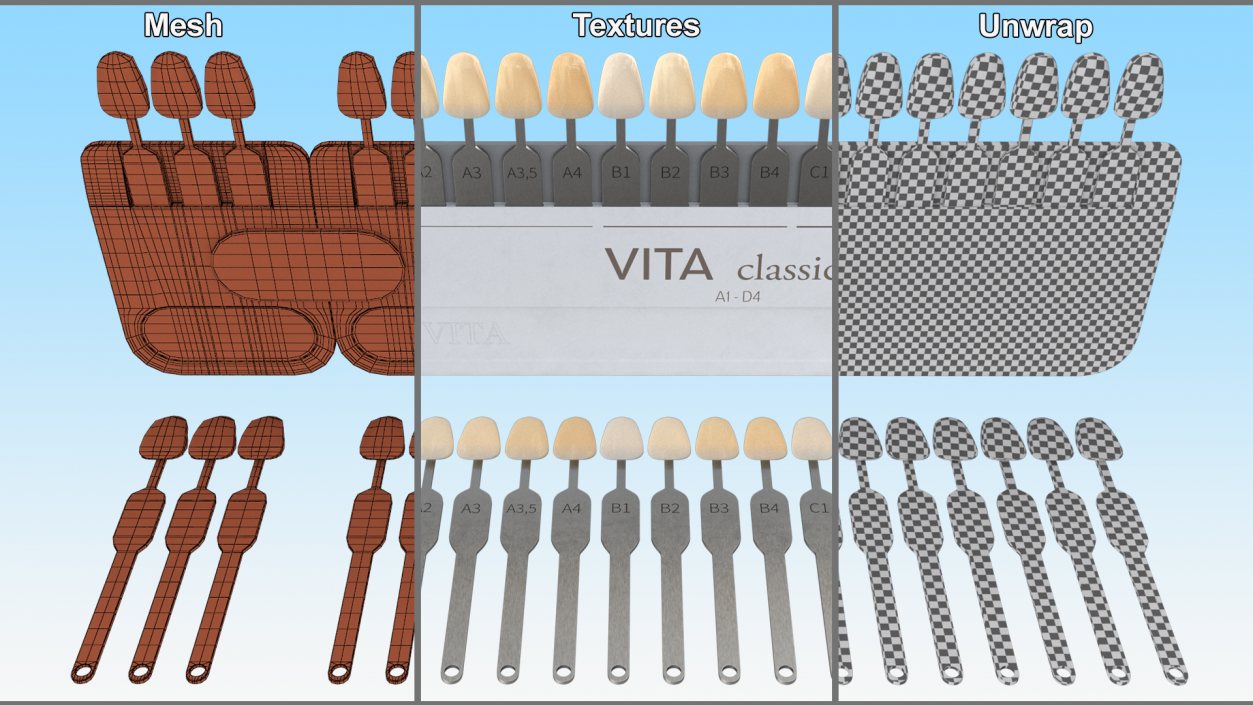 3D VITA Classical Dental Shade Guide model