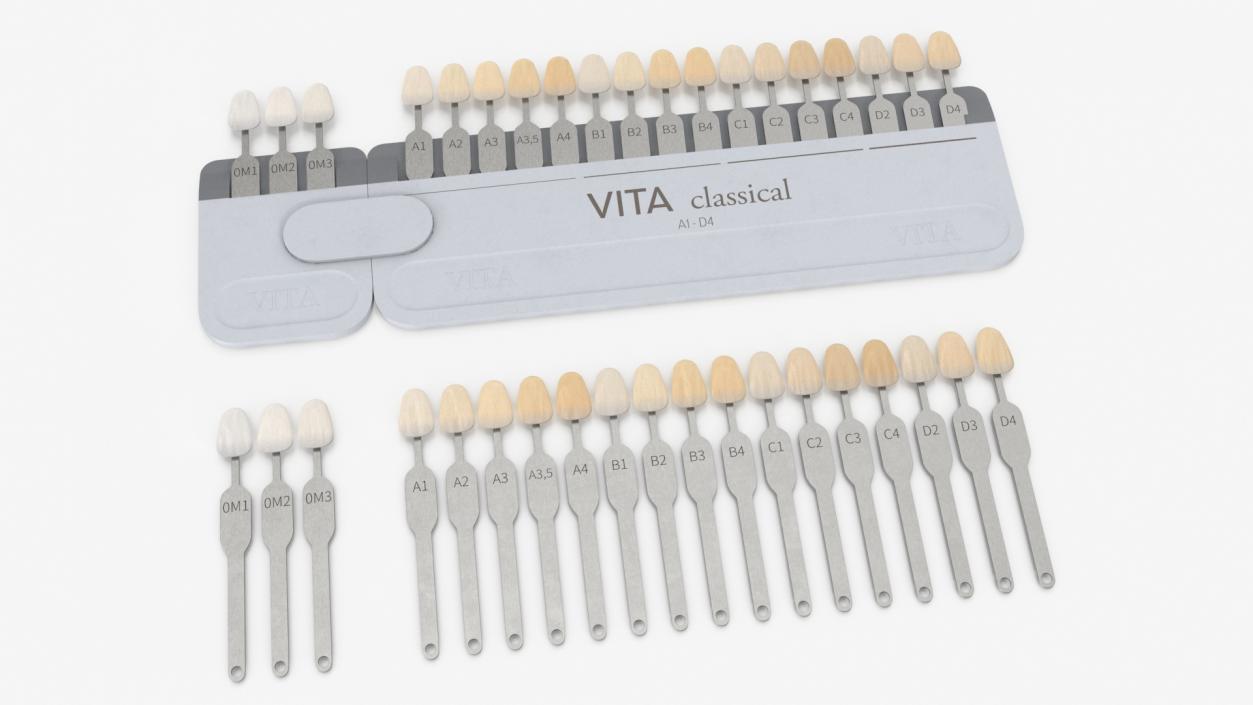 3D VITA Classical Dental Shade Guide model