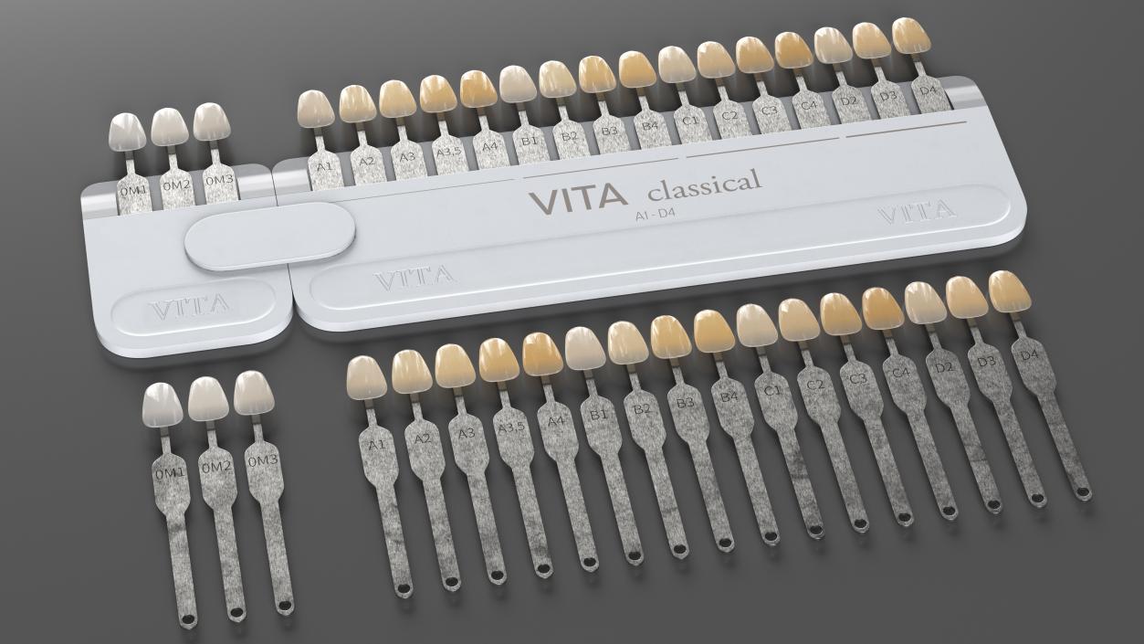 3D VITA Classical Dental Shade Guide model