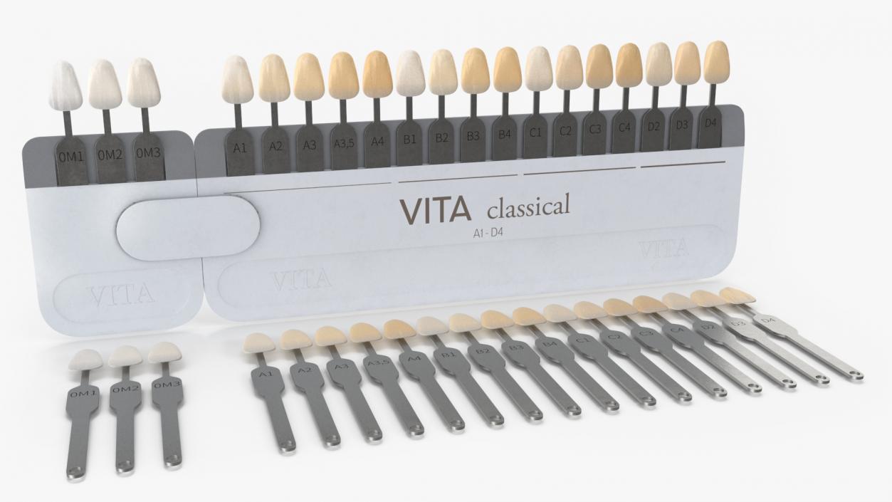 3D VITA Classical Dental Shade Guide model