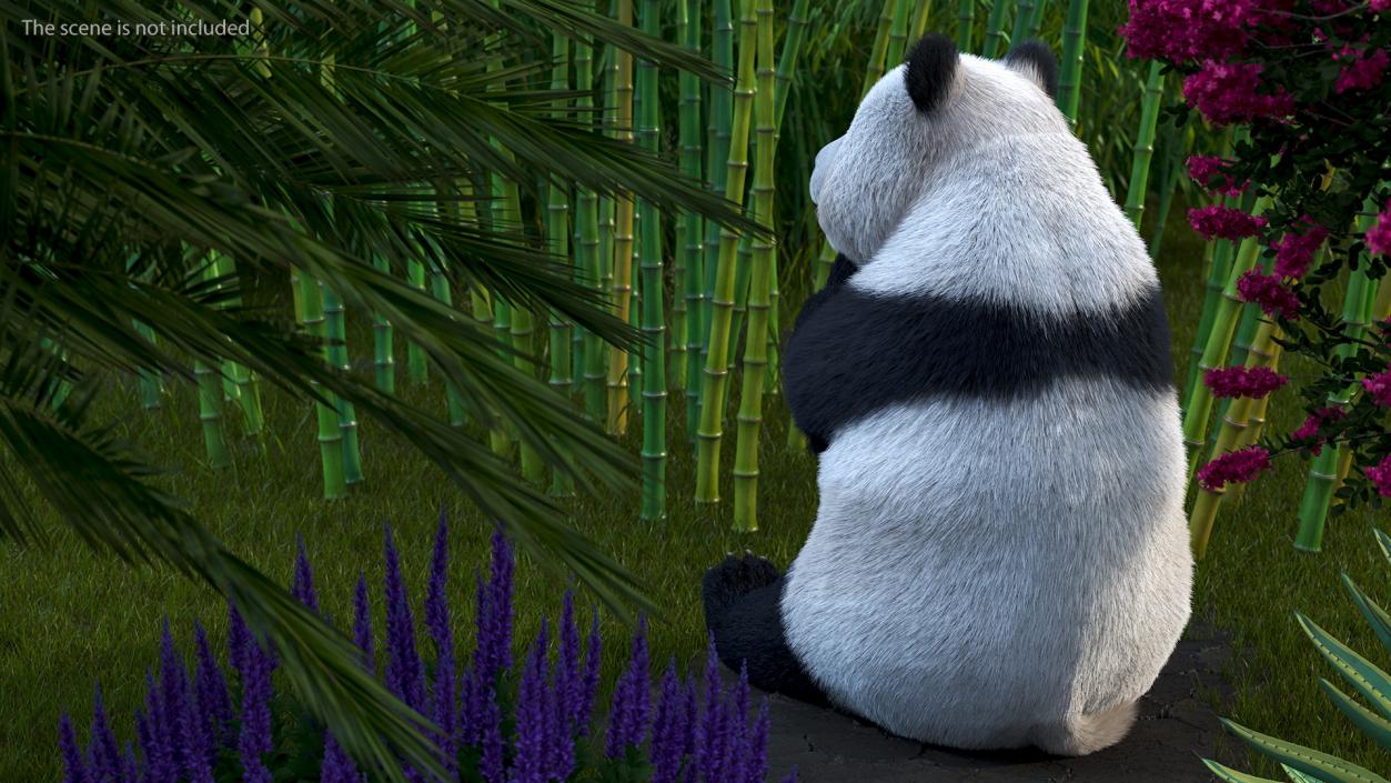 3D Giant Panda with Eucalyptus Tree Collection model