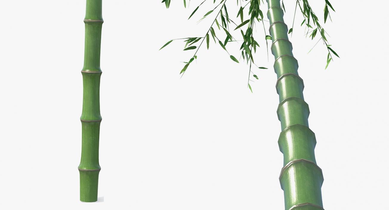 3D model Single Branch Bamboo Tree