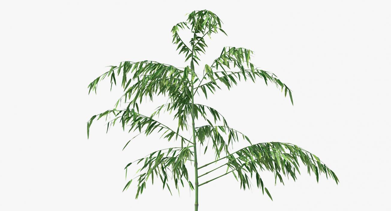 3D model Single Branch Bamboo Tree