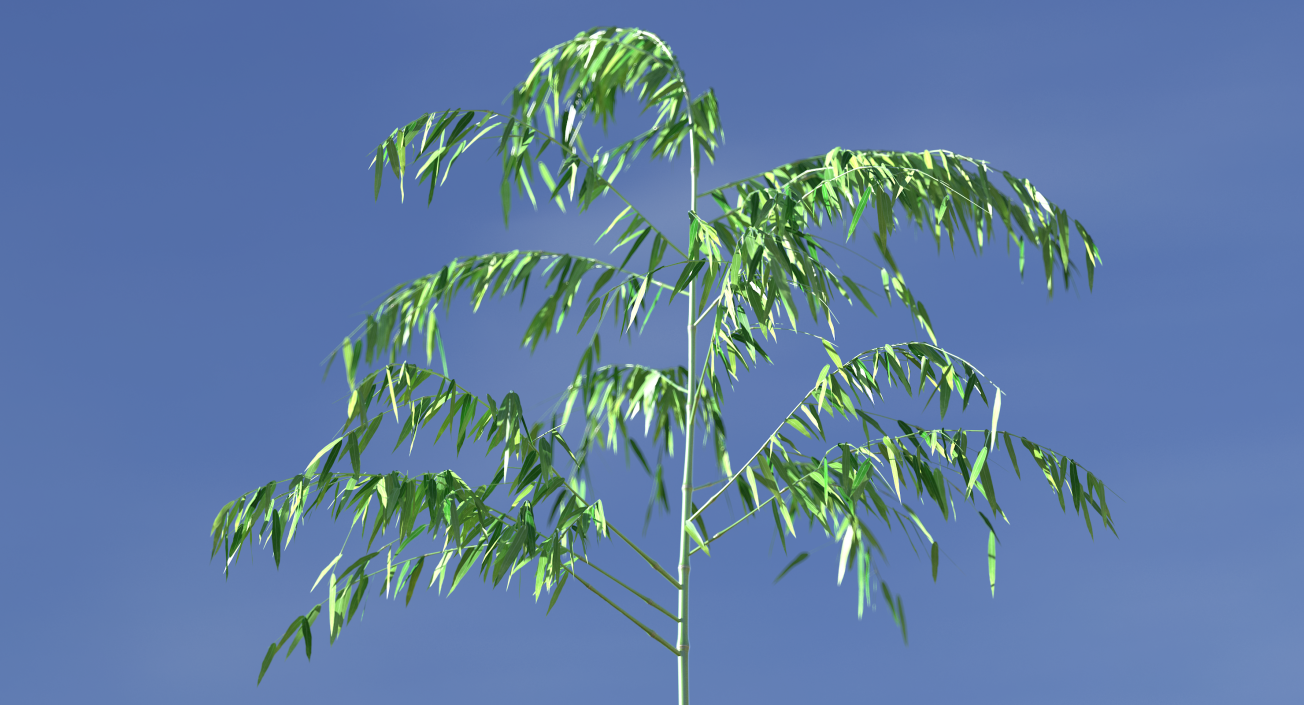 3D model Single Branch Bamboo Tree