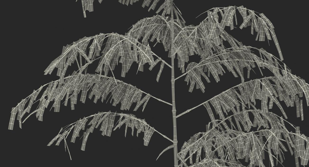 3D model Single Branch Bamboo Tree