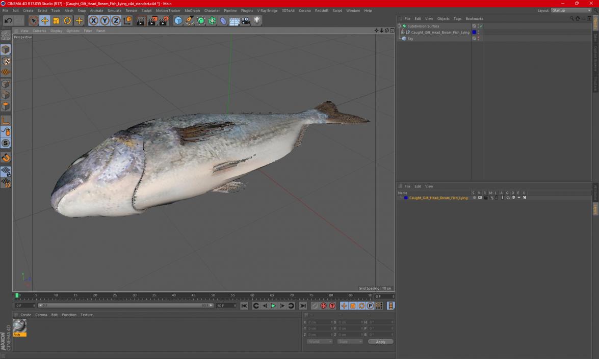 3D Caught Gilt Head Bream Fish Lying model