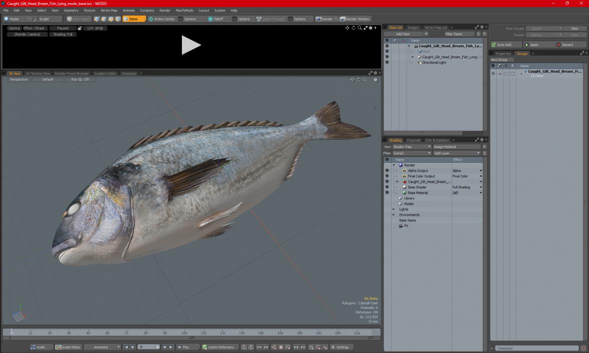 3D Caught Gilt Head Bream Fish Lying model