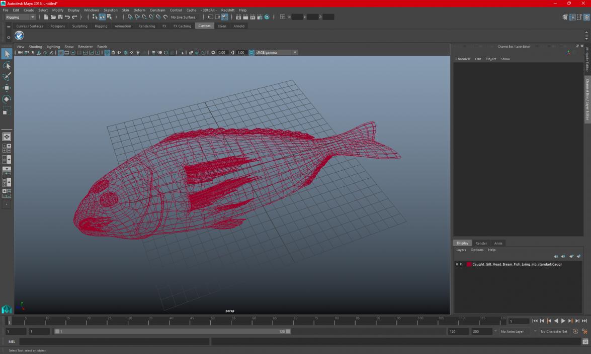 3D Caught Gilt Head Bream Fish Lying model