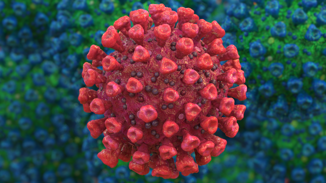 Coronavirus 2019-nCoV SARS-CoV-2 3D