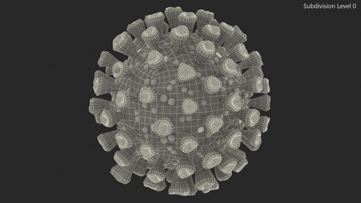 Coronavirus 2019-nCoV SARS-CoV-2 3D