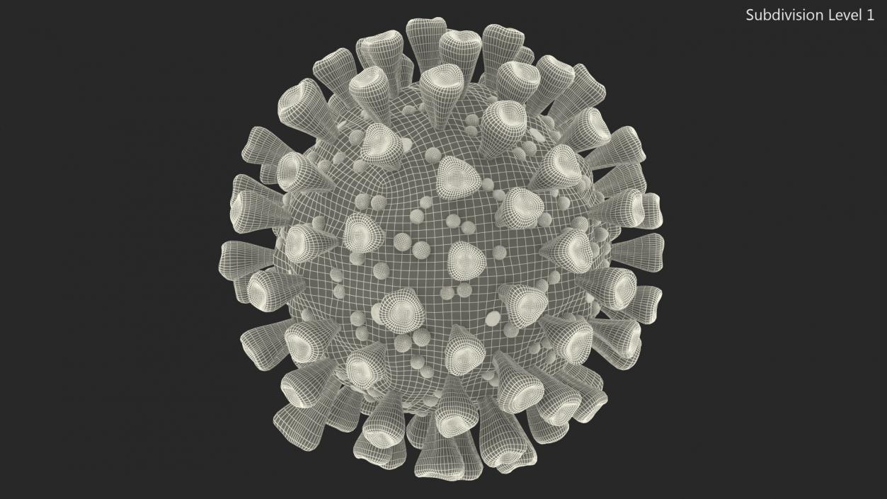 Coronavirus 2019-nCoV SARS-CoV-2 3D