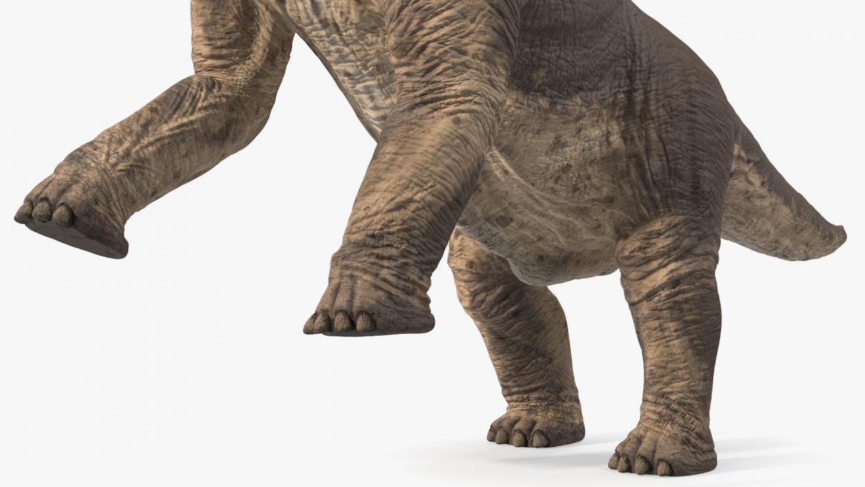 Brachiosaurus Altithorax 3D model