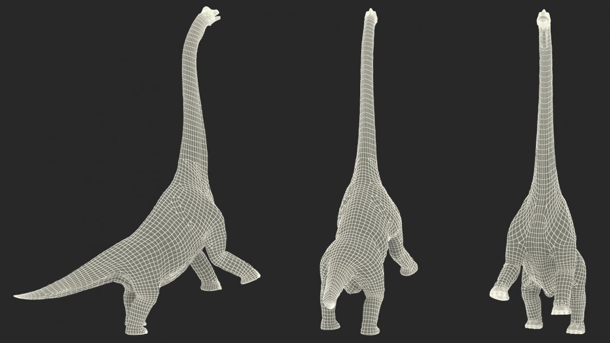 Brachiosaurus Altithorax 3D model