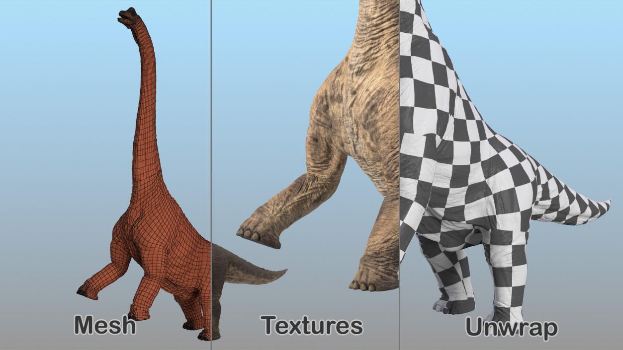 Brachiosaurus Altithorax 3D model