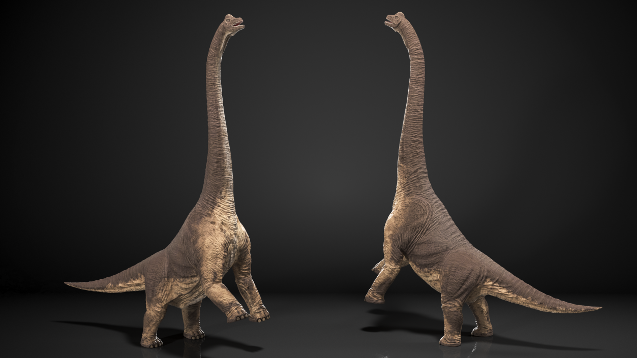 Brachiosaurus Altithorax 3D model