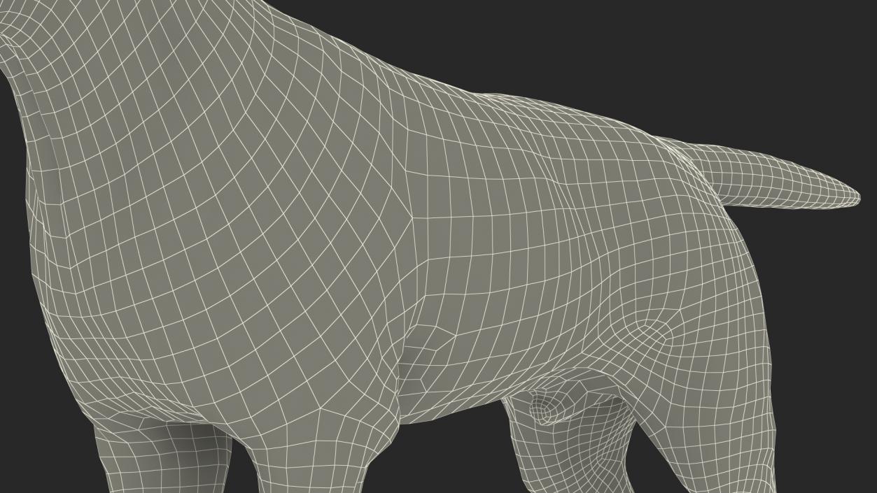 Labrador Dog Brown Rigged Fur 3D model