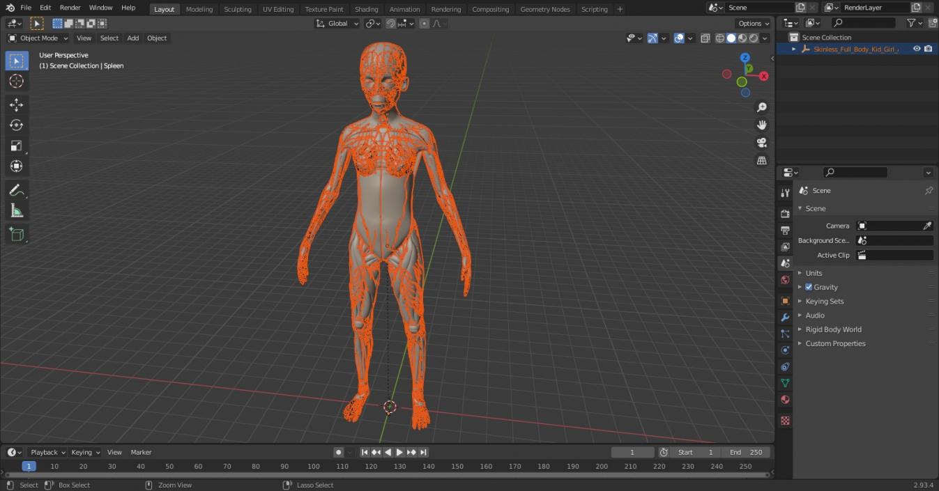 3D model Skinless Full Body Kid Girl Anatomy