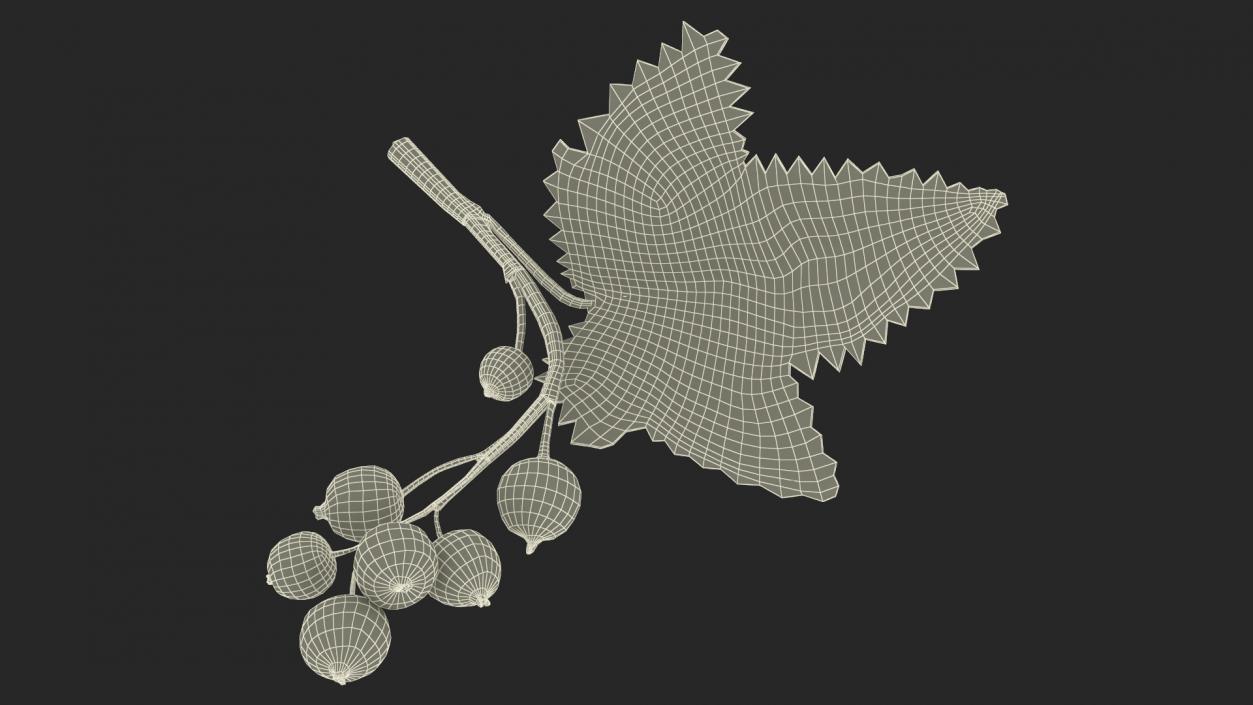 3D model Berry Branches Collection