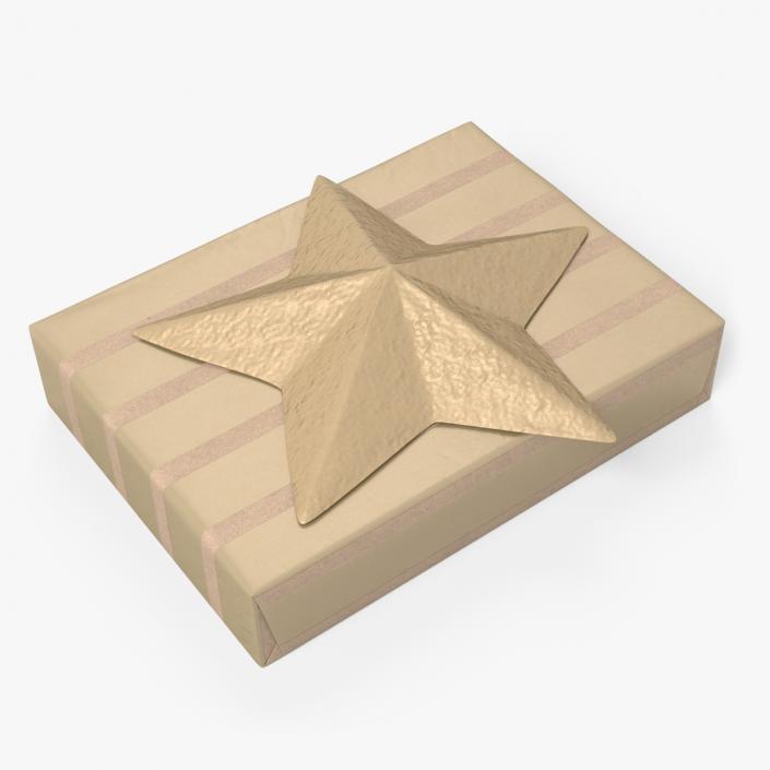 3D model Wrapped Gift Box with Star Bow