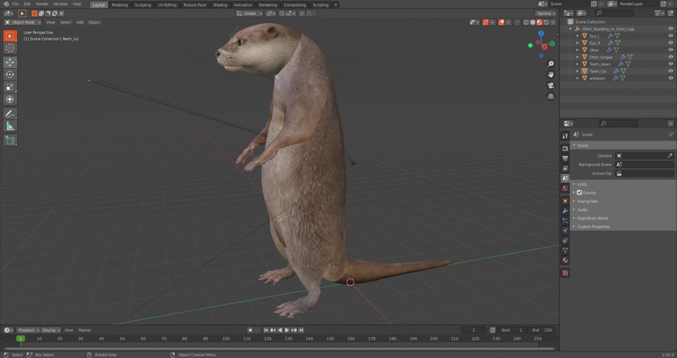 Otter Standing on Hind Legs 3D