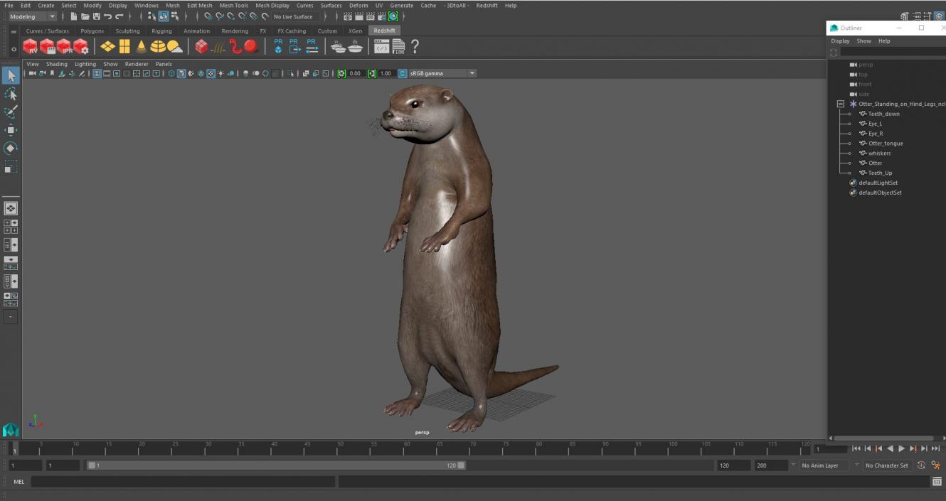 Otter Standing on Hind Legs 3D