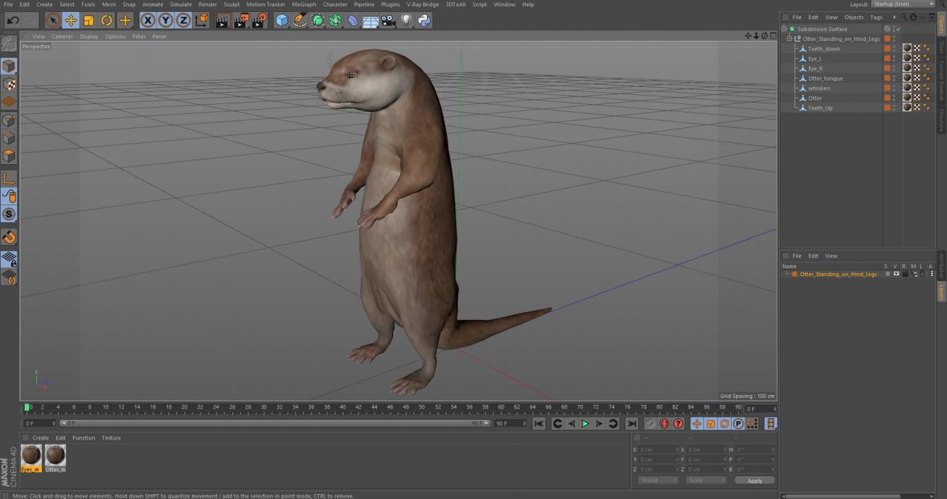 Otter Standing on Hind Legs 3D