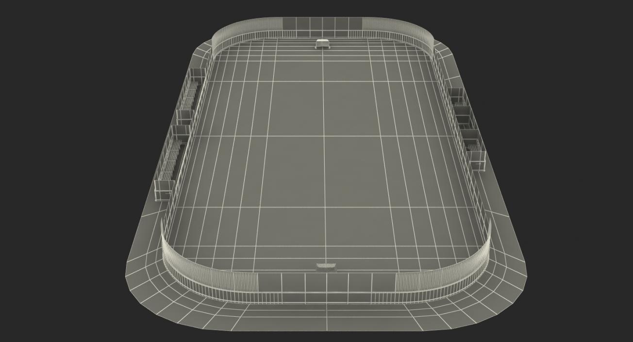 3D model Ice Hockey Rink