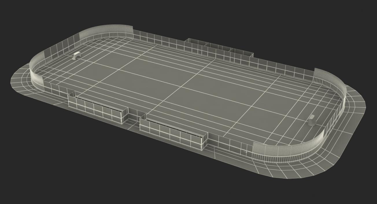 3D model Ice Hockey Rink