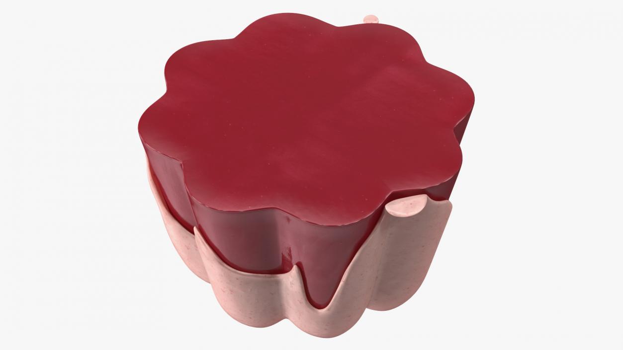 3D model Jelly Pudding Fruit with Strawberry Cream on Plate