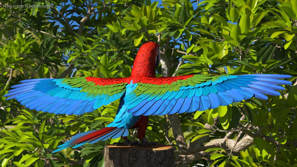 3D Red and Green Macaw Parrot Rigged model