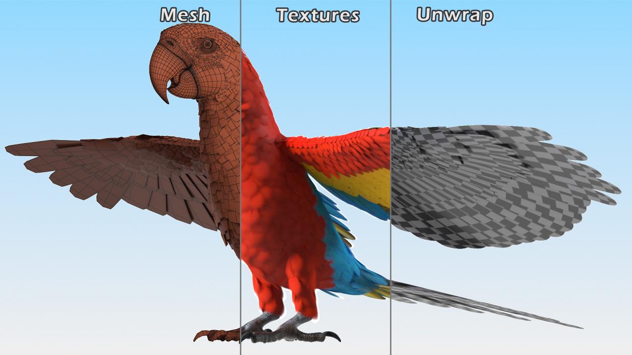 3D Red and Green Macaw Parrot Rigged model