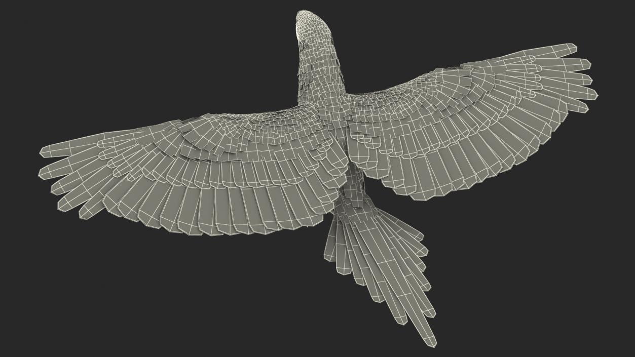 3D Red and Green Macaw Parrot Rigged model