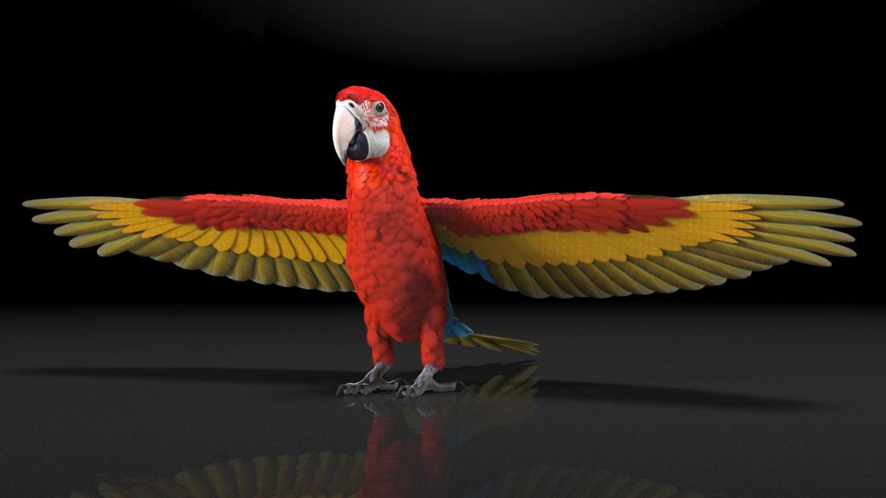 3D Red and Green Macaw Parrot Rigged model