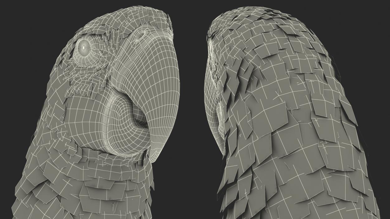 3D Red and Green Macaw Parrot Rigged model