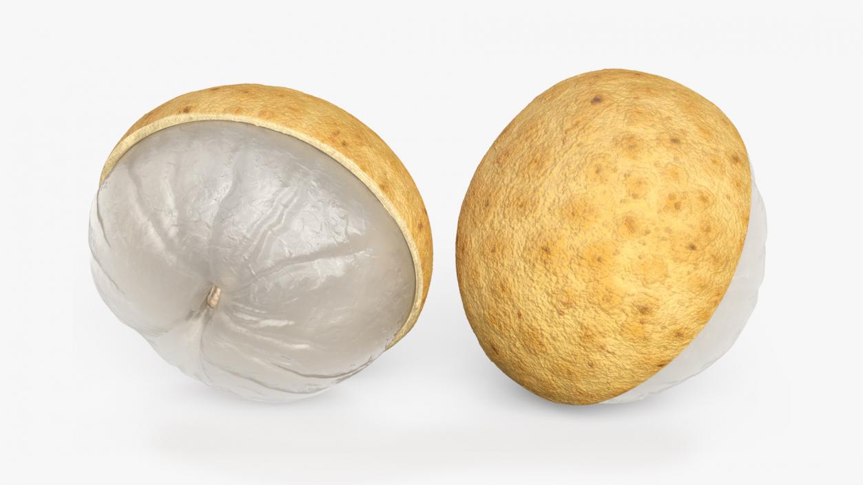 3D model Half a Peeled Longan Peel