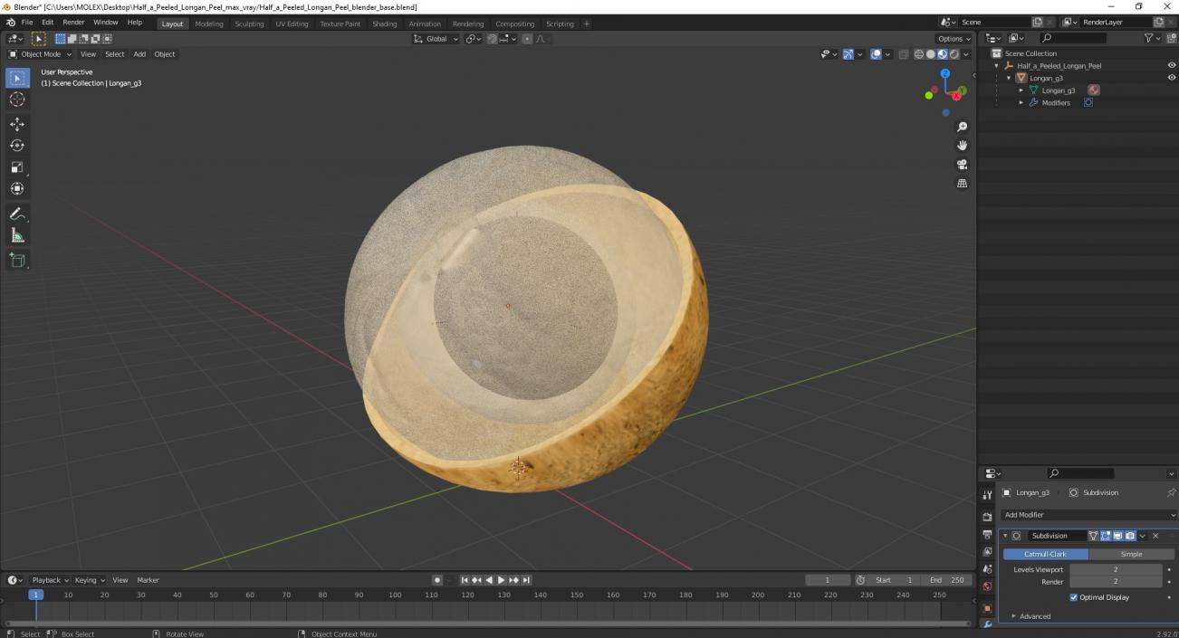 3D model Half a Peeled Longan Peel