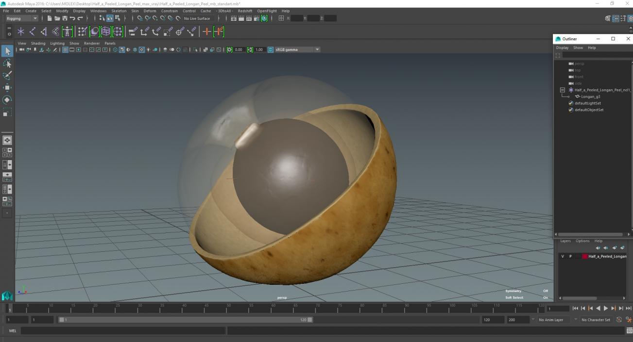 3D model Half a Peeled Longan Peel