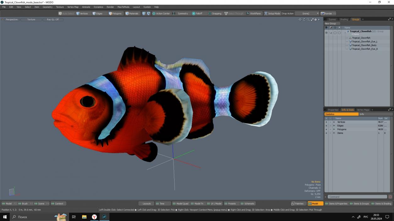 3D Tropical Clownfish model