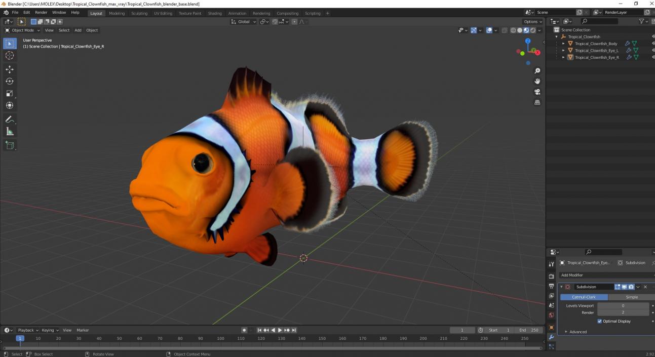 3D Tropical Clownfish model